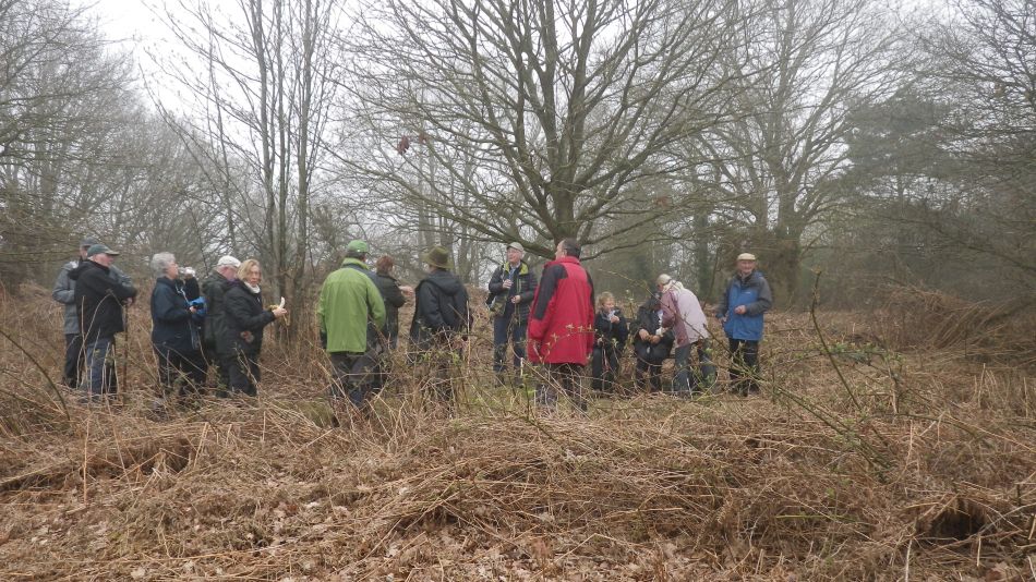 2018-04-11 08 Wenhaston.jpg