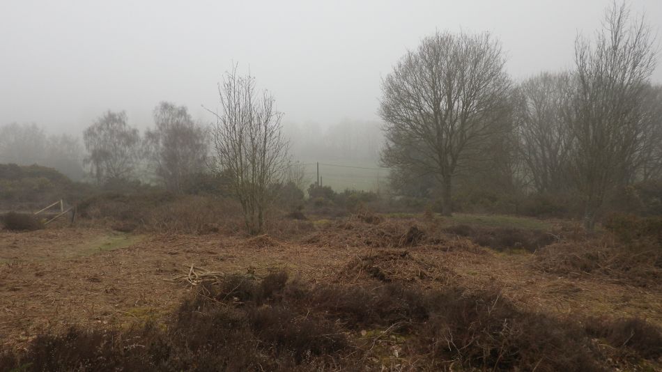 2018-04-11 09 Wenhaston.jpg