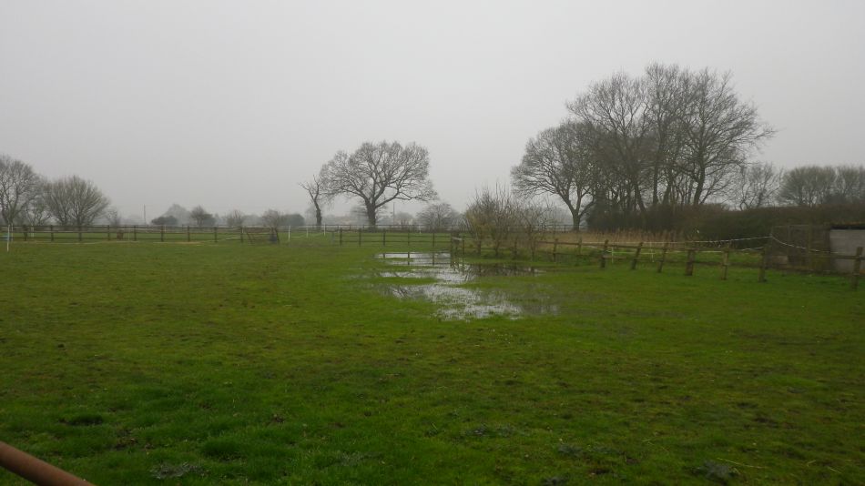 2018-04-11 10 Wenhaston.jpg