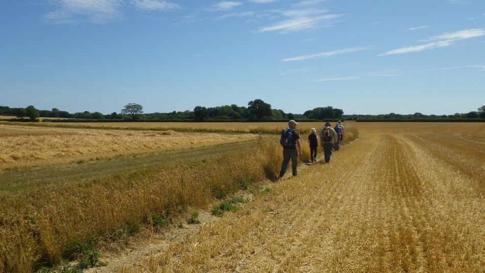 2018-08-05 01 Wenhaston and Bramfield.jpg