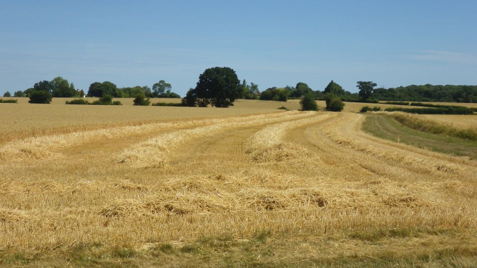 2018-08-05 02 Wenhaston and Bramfield.jpg