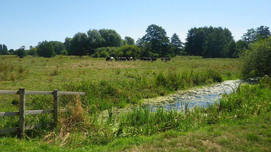 2018-08-05 08 Wenhaston and Bramfield.jpg