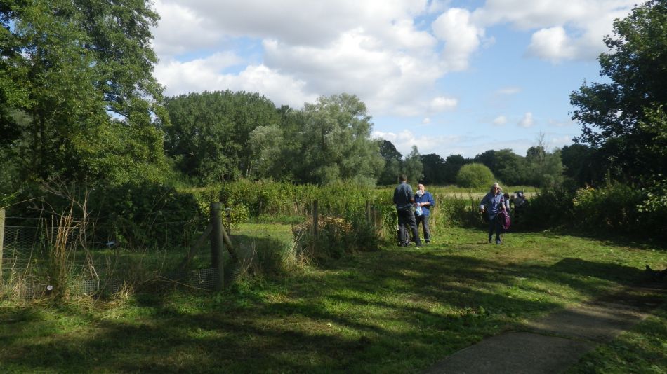 2019-09-05 07 Waveney Way 13 - Halesworth to Wenhaston.jpg