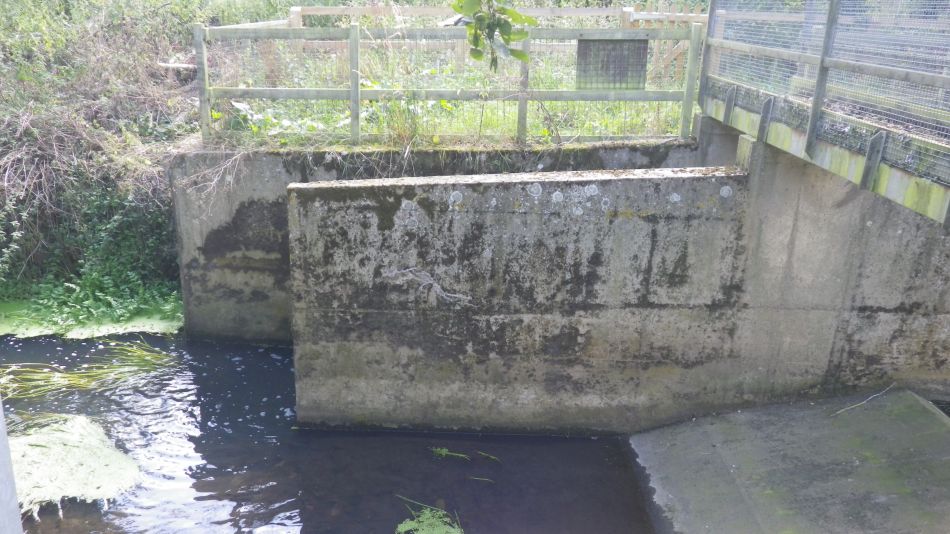 2019-09-05 09 Waveney Way 13 - Halesworth to Wenhaston.jpg