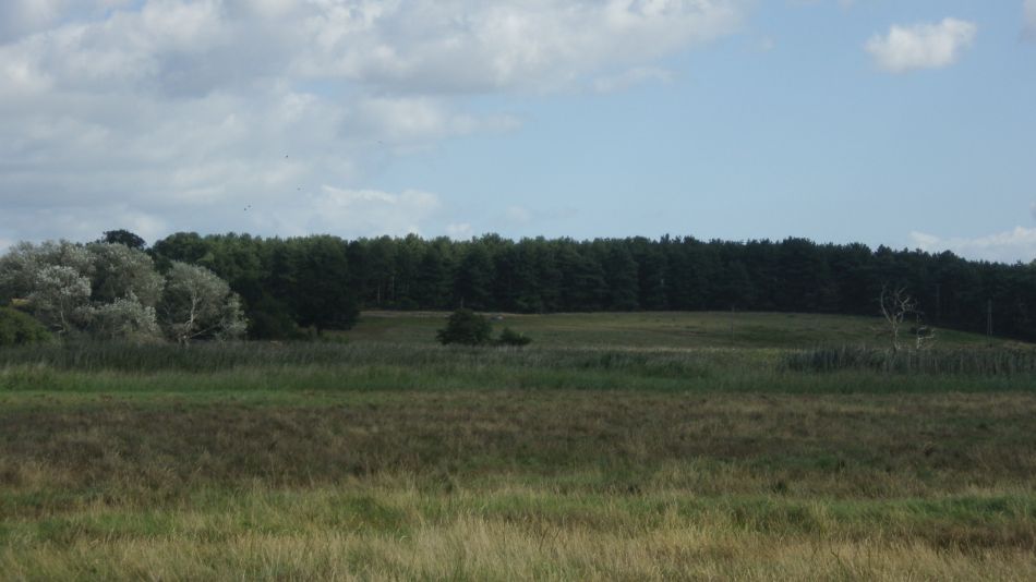 2019-09-05 13 Waveney Way 13 - Halesworth to Wenhaston.jpg