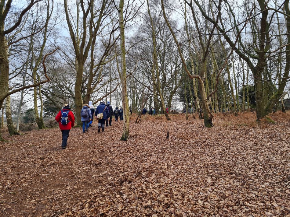 2023-03-01 02 Wenhaston Five Heaths.jpg