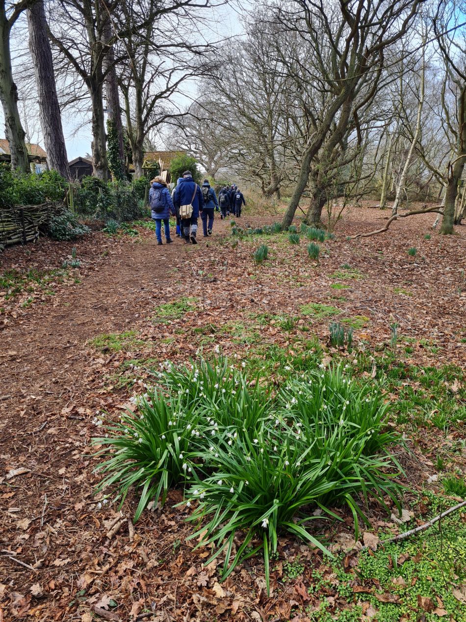 2023-03-01 03 Wenhaston Five Heaths.jpg