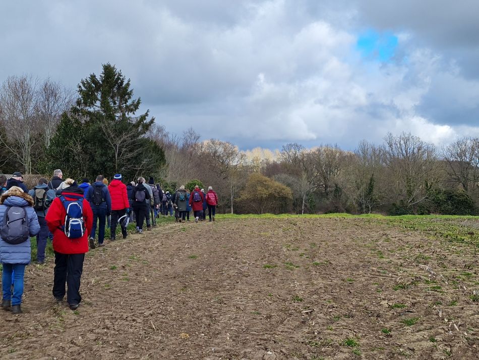 2023-03-01 06 Wenhaston Five Heaths.jpg