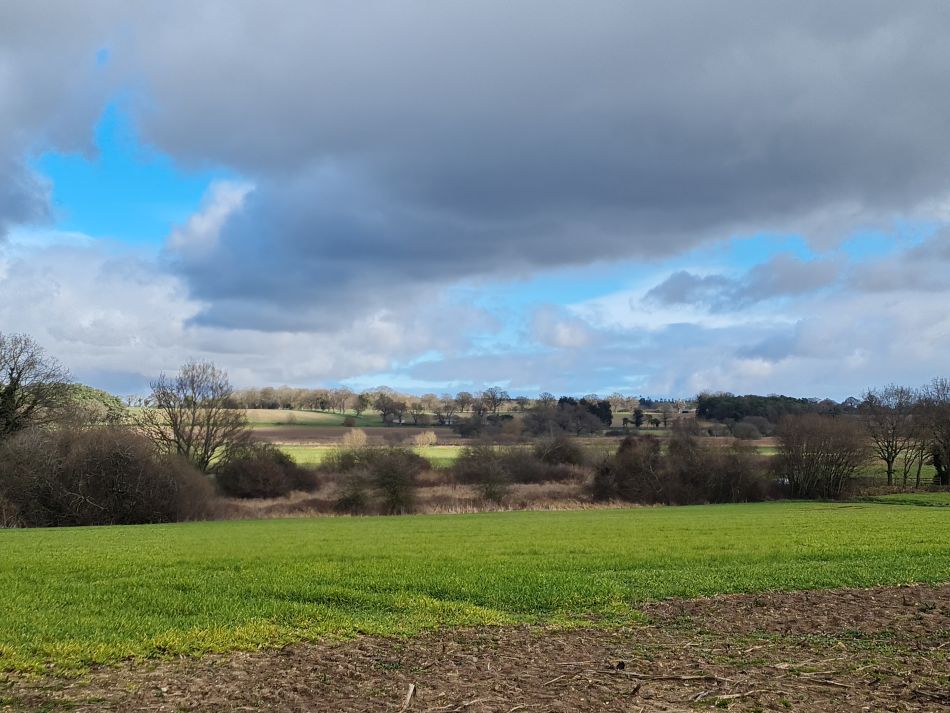 2023-03-01 07 Wenhaston Five Heaths.jpg