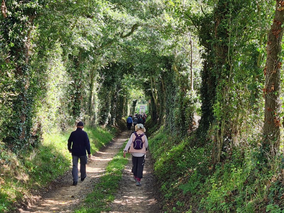 2023-08-30 04 Wenhaston.jpg