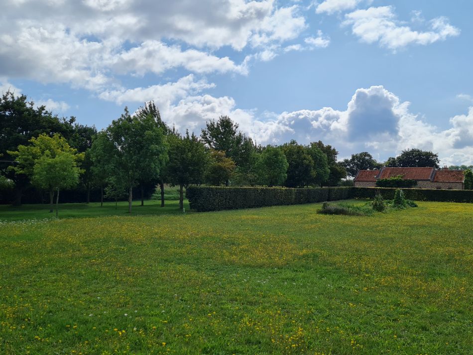 2023-08-30 06 Wenhaston.jpg