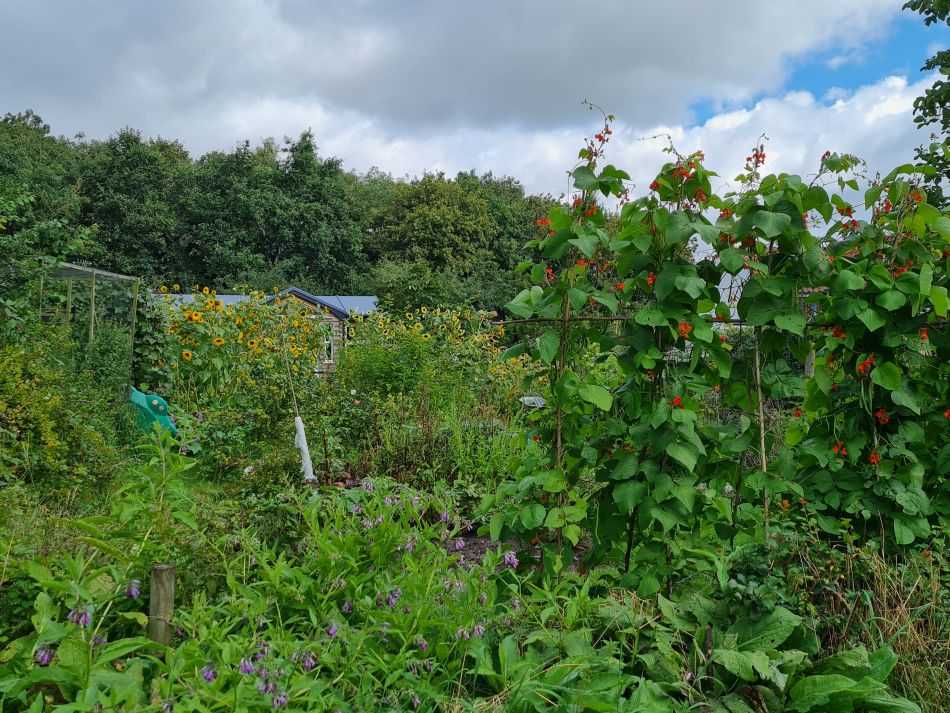 2023-08-30 07 Wenhaston.jpg