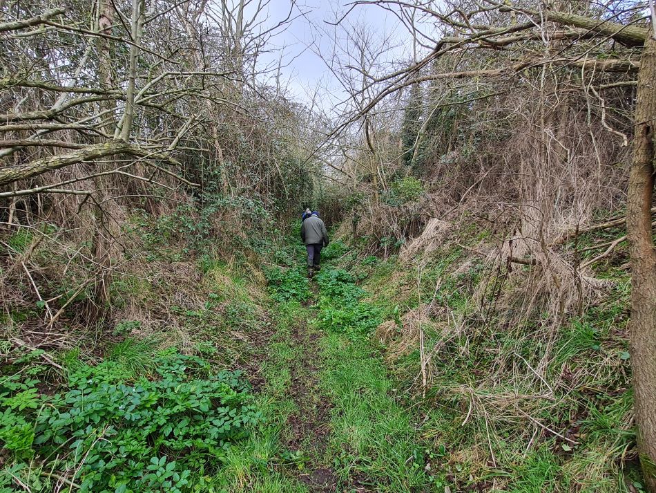 2024-01-31 43 Wenhaston.jpg