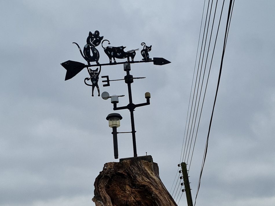 2024-01-31 47 Wenhaston.jpg