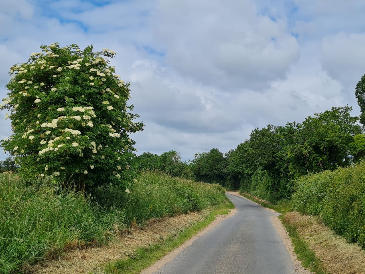 2024-06-08 02 Wenhaston to Halesworth.jpg