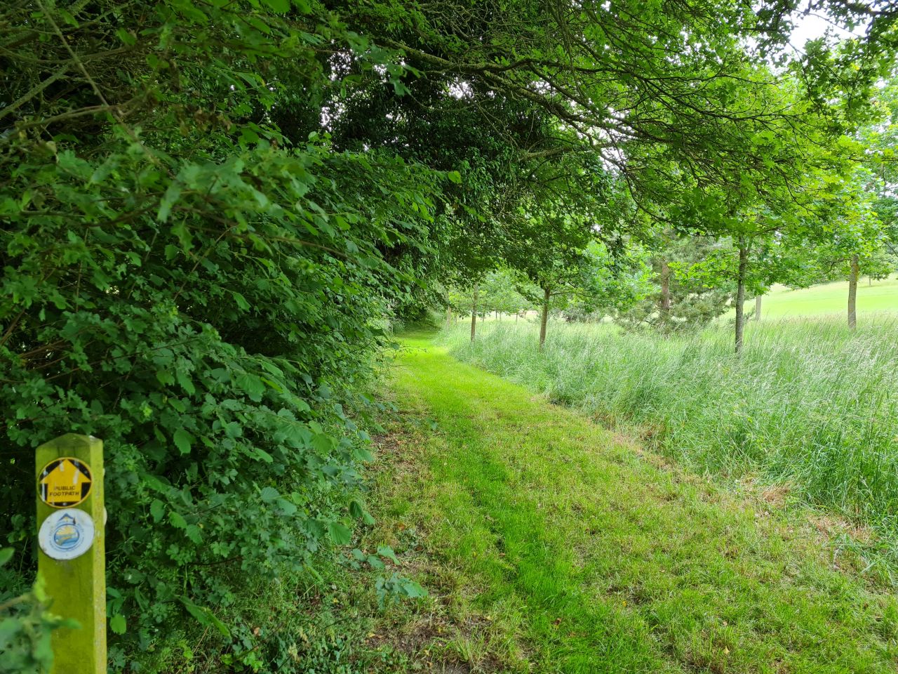 2024-06-08 06 Wenhaston to Halesworth.jpg