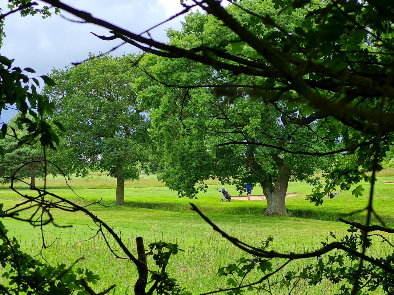 2024-06-08 07 Wenhaston to Halesworth.jpg