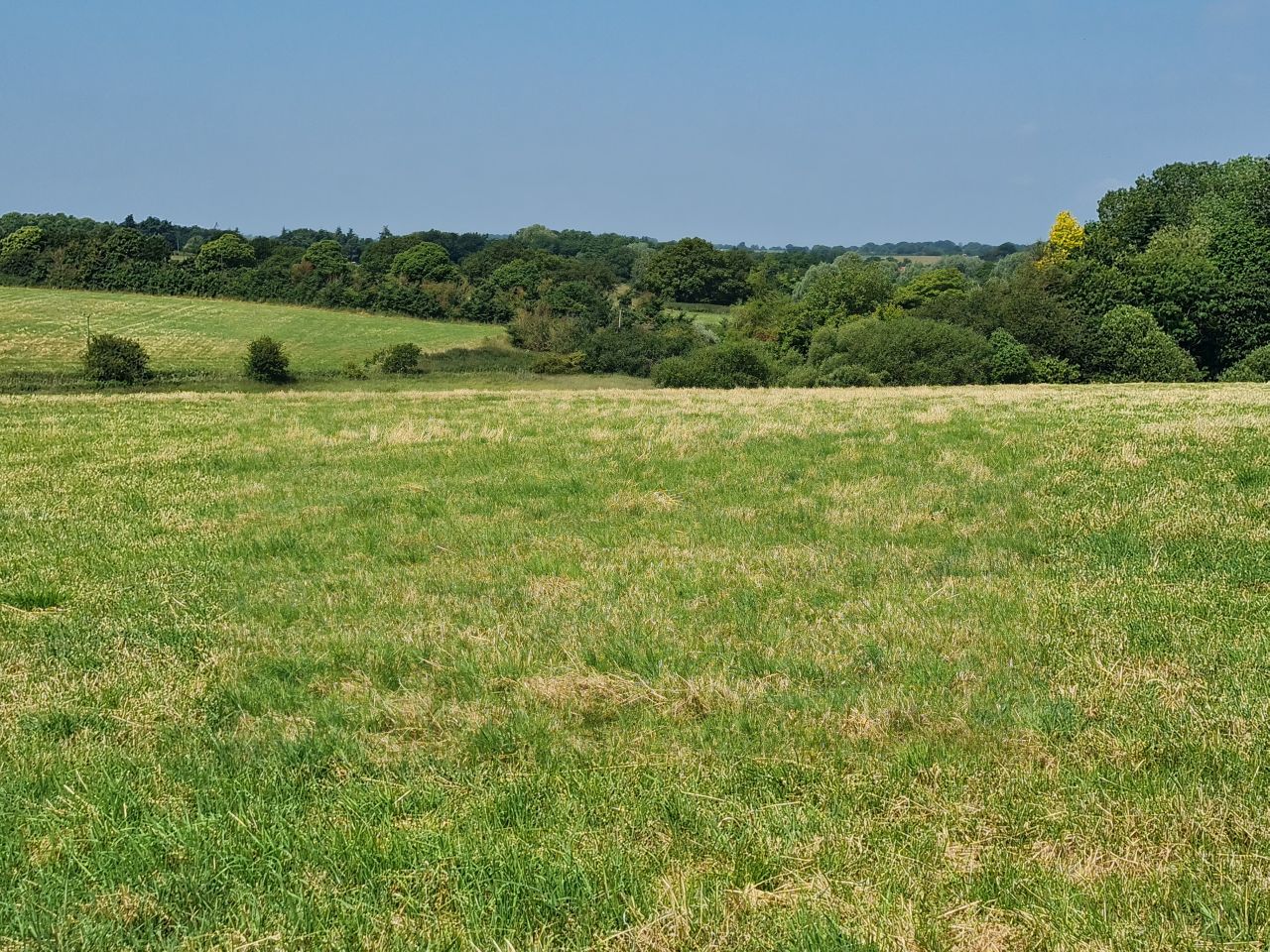 2024-06-26 09 Wenhaston.jpg