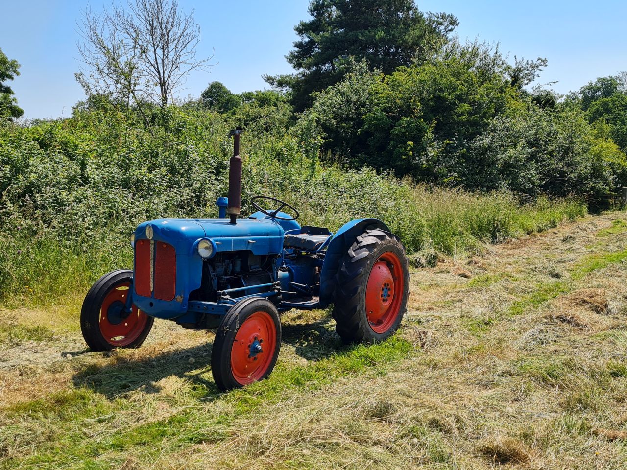 2024-06-26 11 Wenhaston.jpg