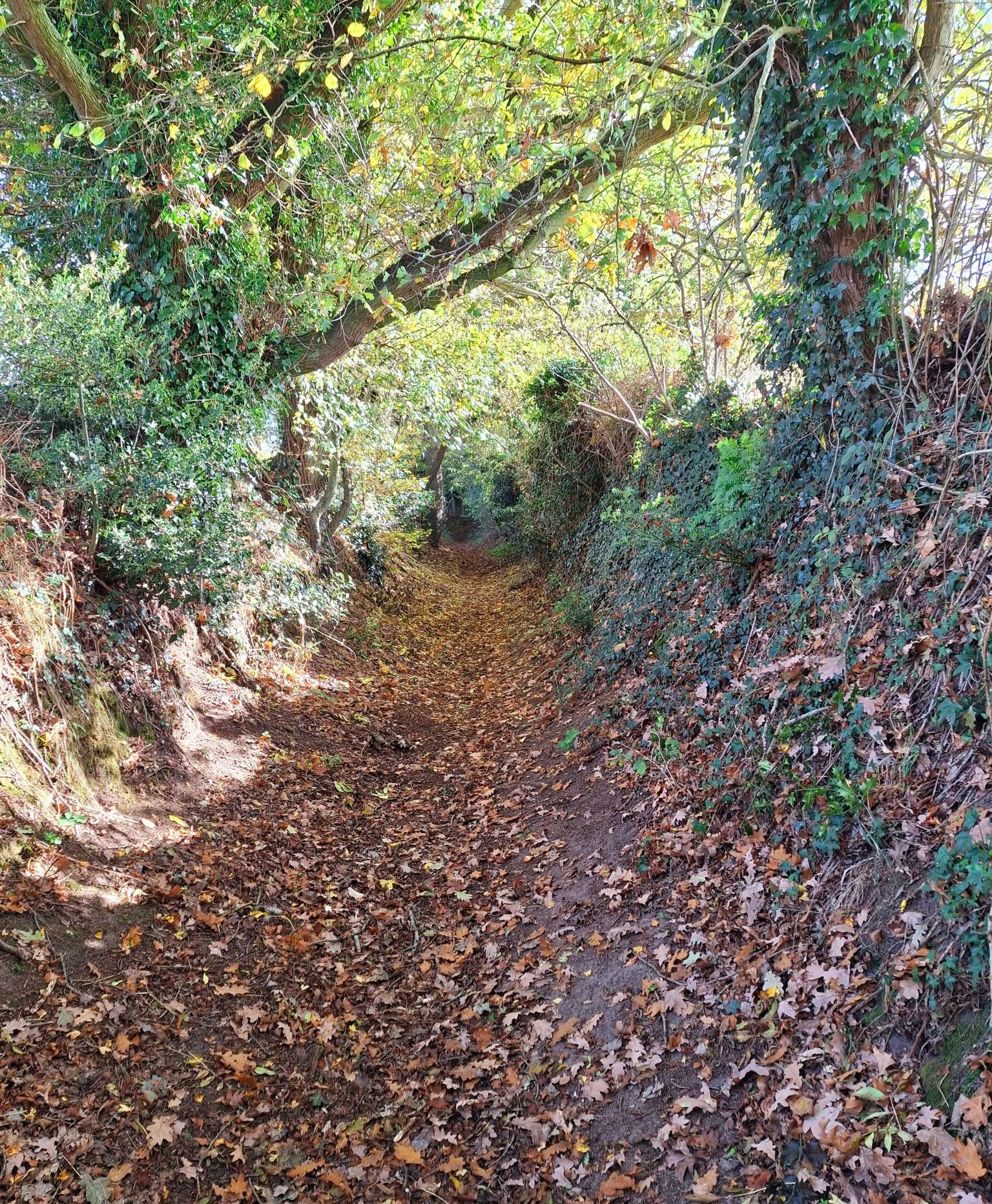 2025-10-22 07 Wenhaston.jpg