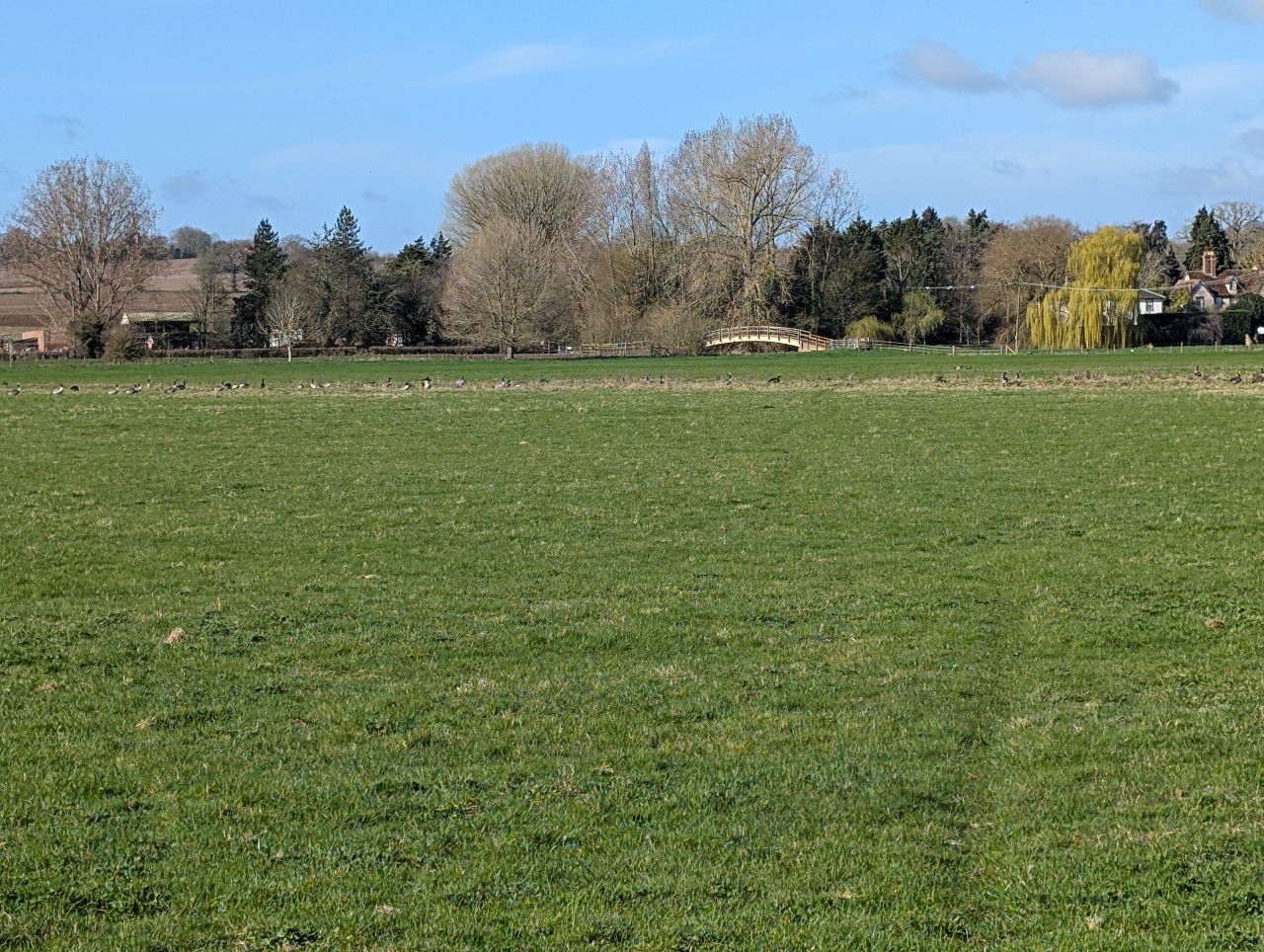 2026-03-14 07 Sudbury and Little Cornard.jpg