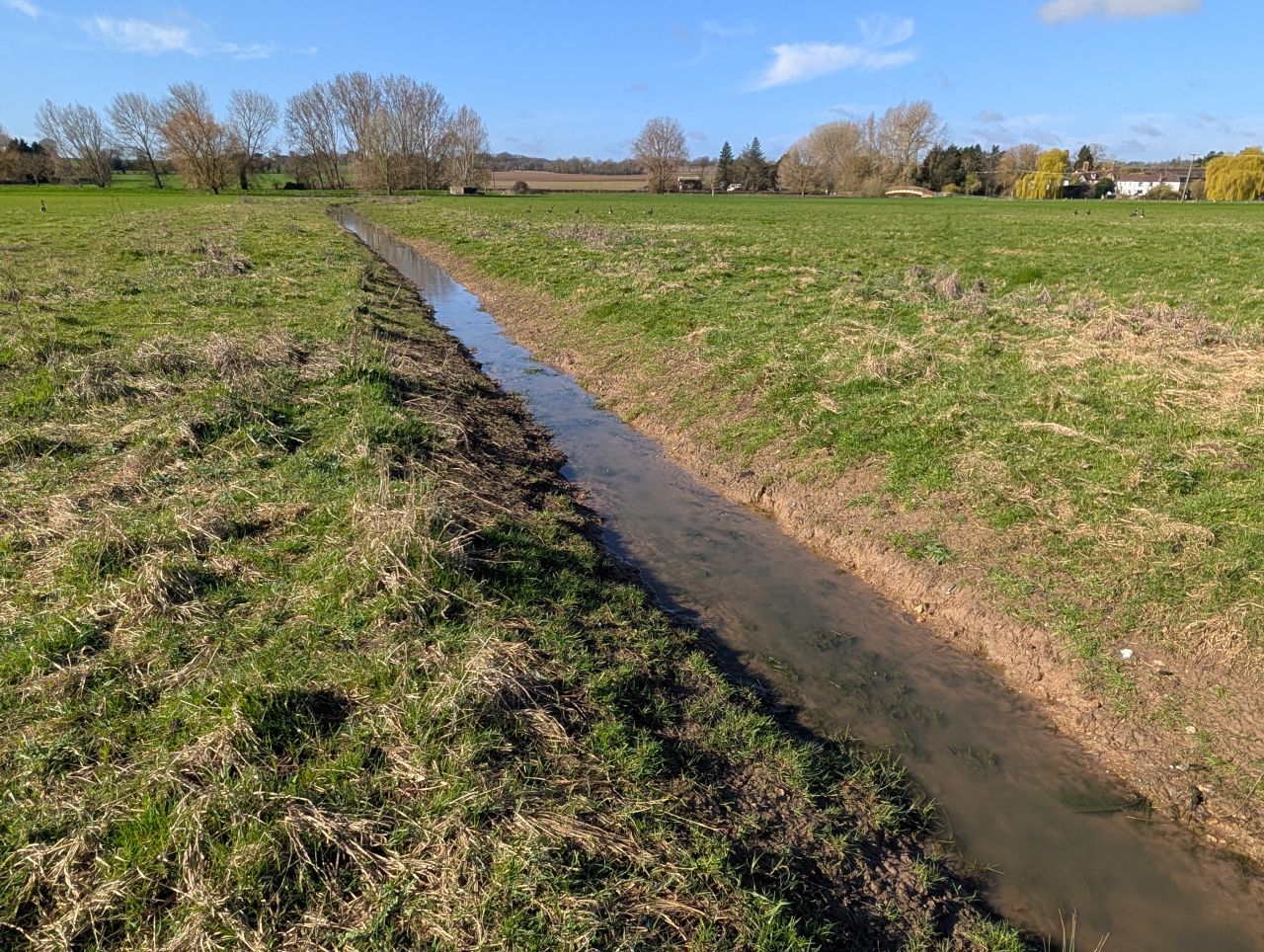 2026-03-14 08 Un-bridged Ditch.jpg