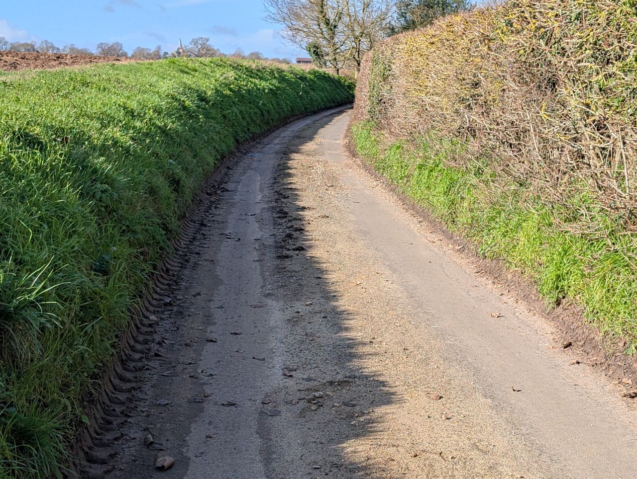 2026-03-14 12 Sudbury and Little Cornard.jpg