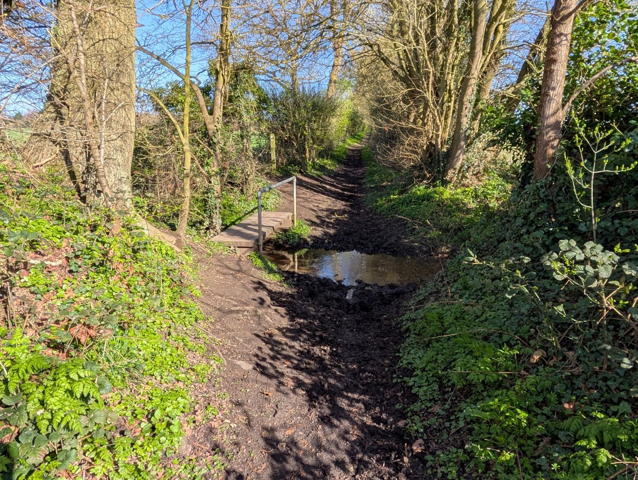 2026-03-14 13 Sudbury and Little Cornard.jpg