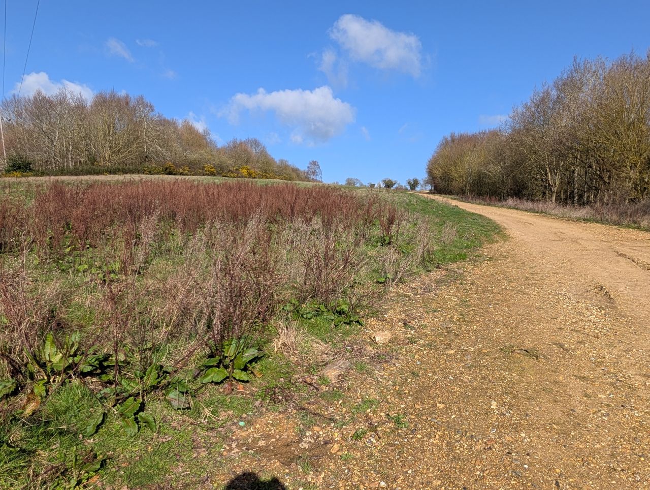 2026-03-14 15 Sudbury and Little Cornard.jpg