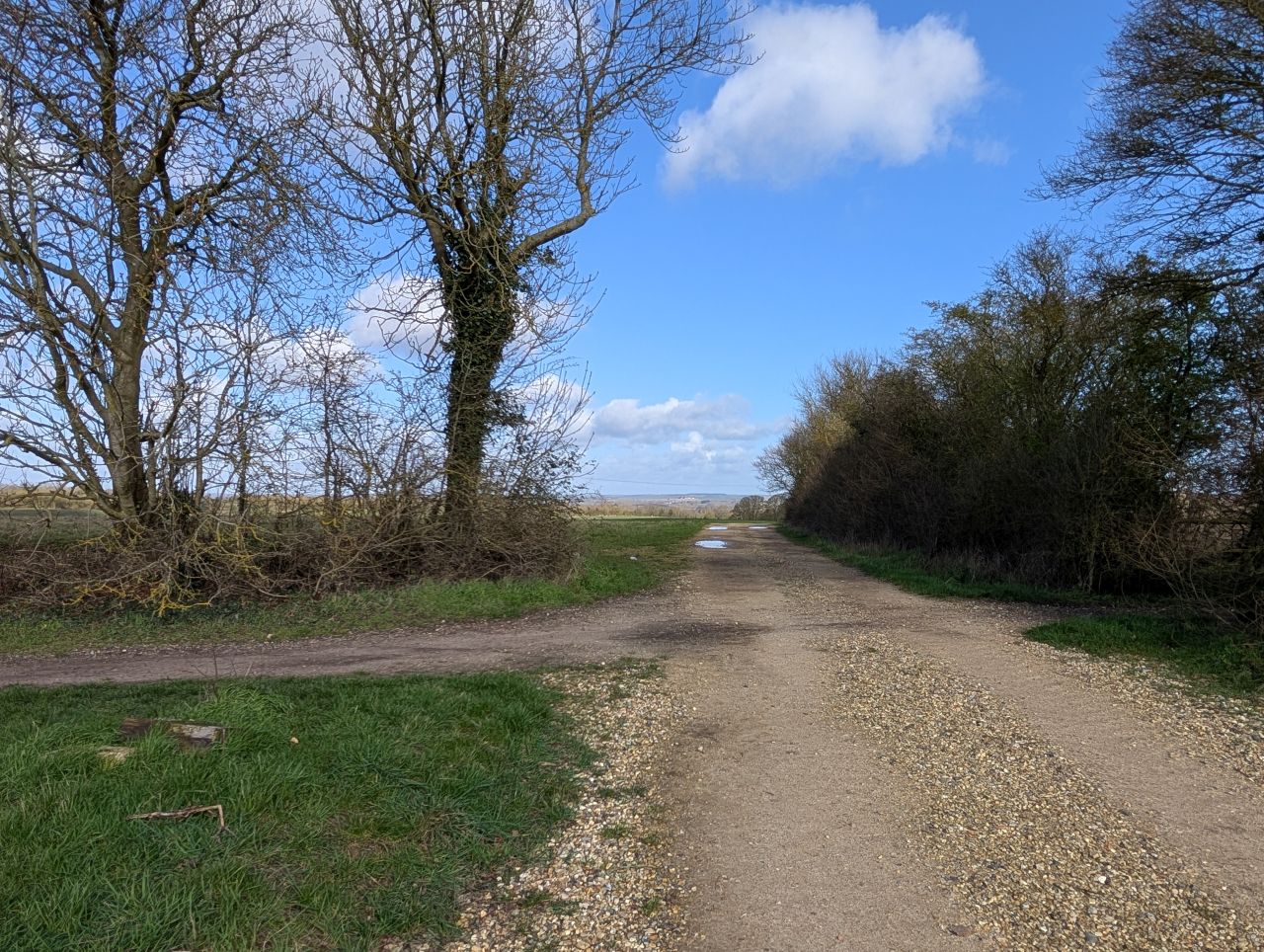 2026-03-14 16 Sudbury and Little Cornard.jpg