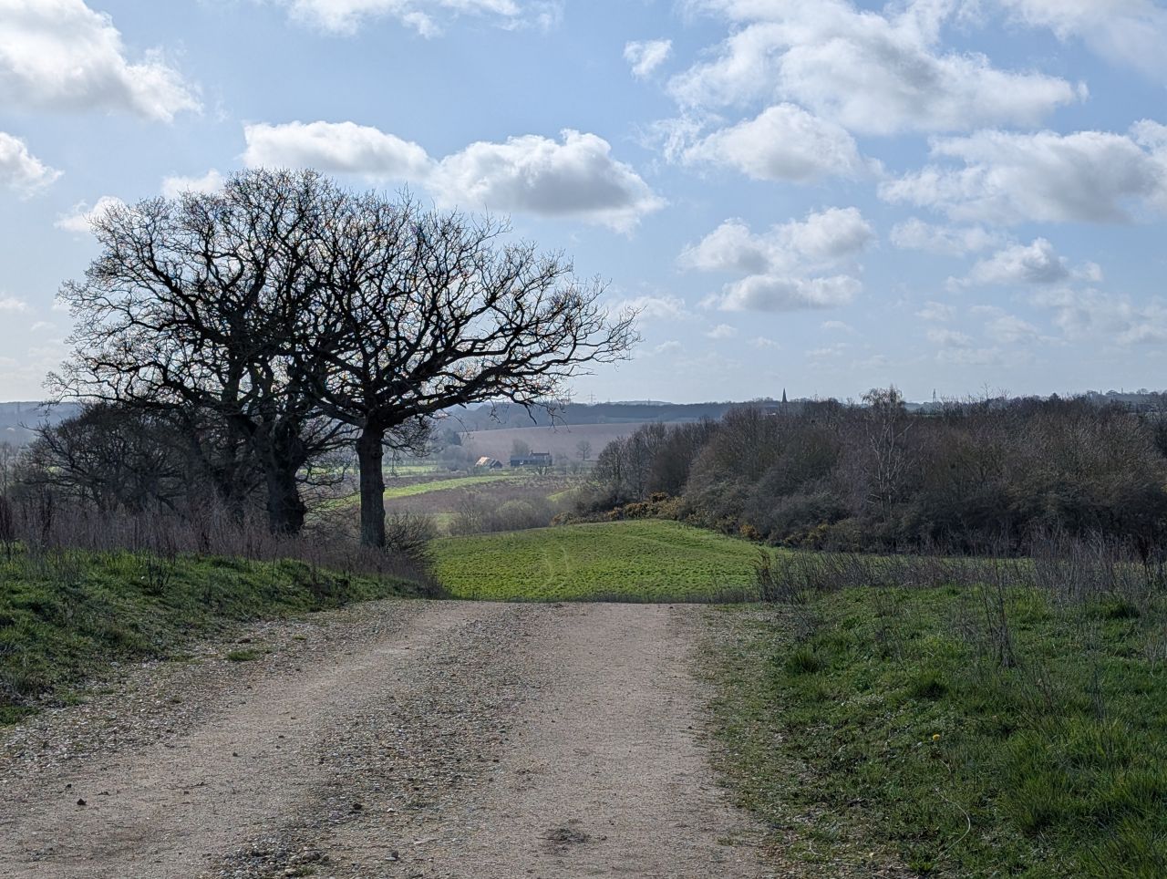 2026-03-14 17 Sudbury and Little Cornard.jpg