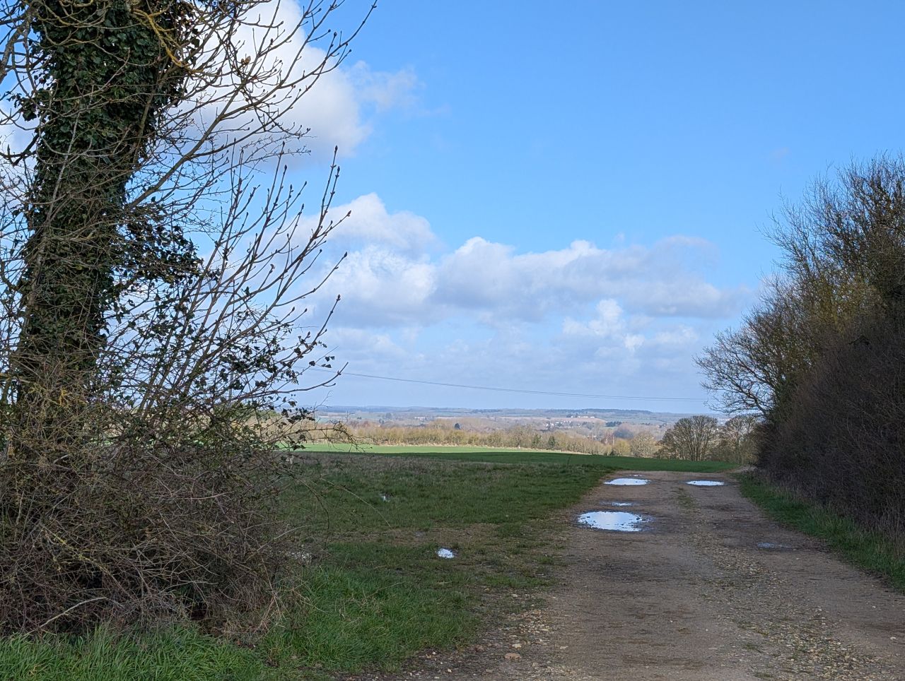 2026-03-14 18 Sudbury and Little Cornard.jpg