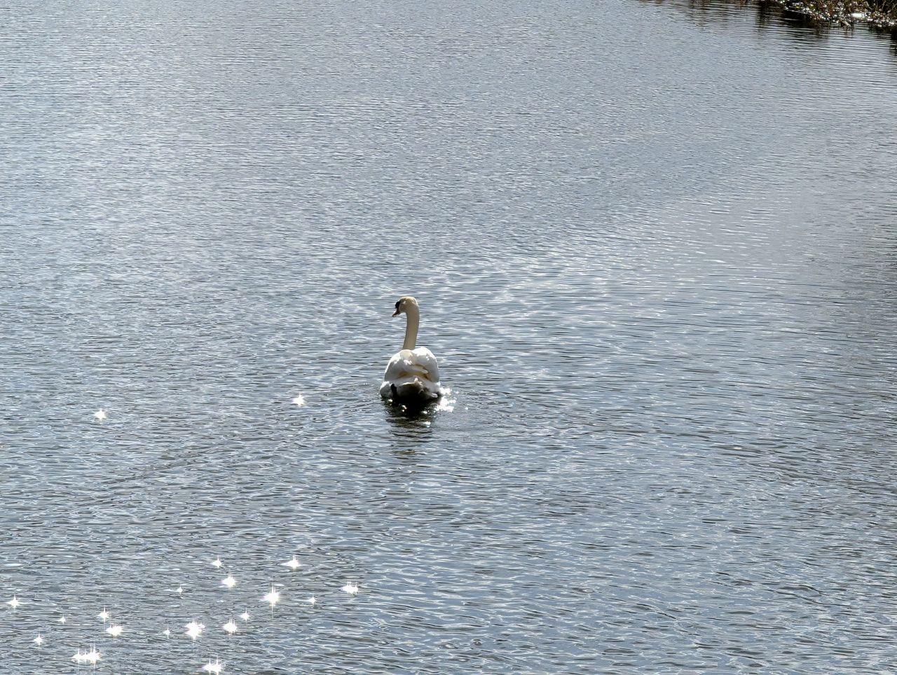 2026-03-14 21 Sudbury and Little Cornard.jpg