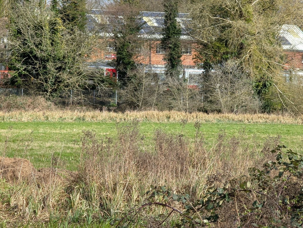 2026-03-14 27 Sudbury and Little Cornard.jpg