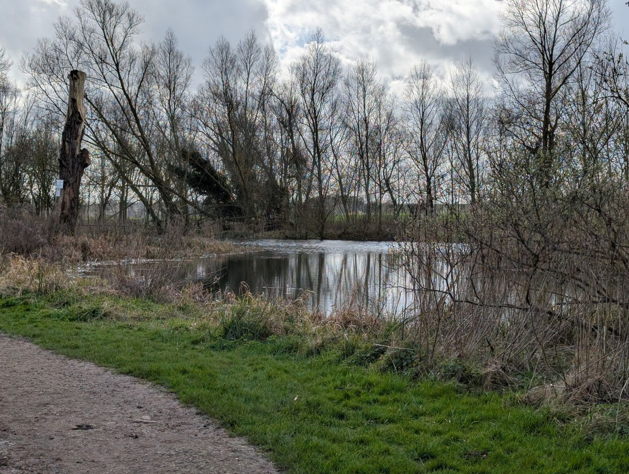 2026-03-14 29 Sudbury and Little Cornard.jpg