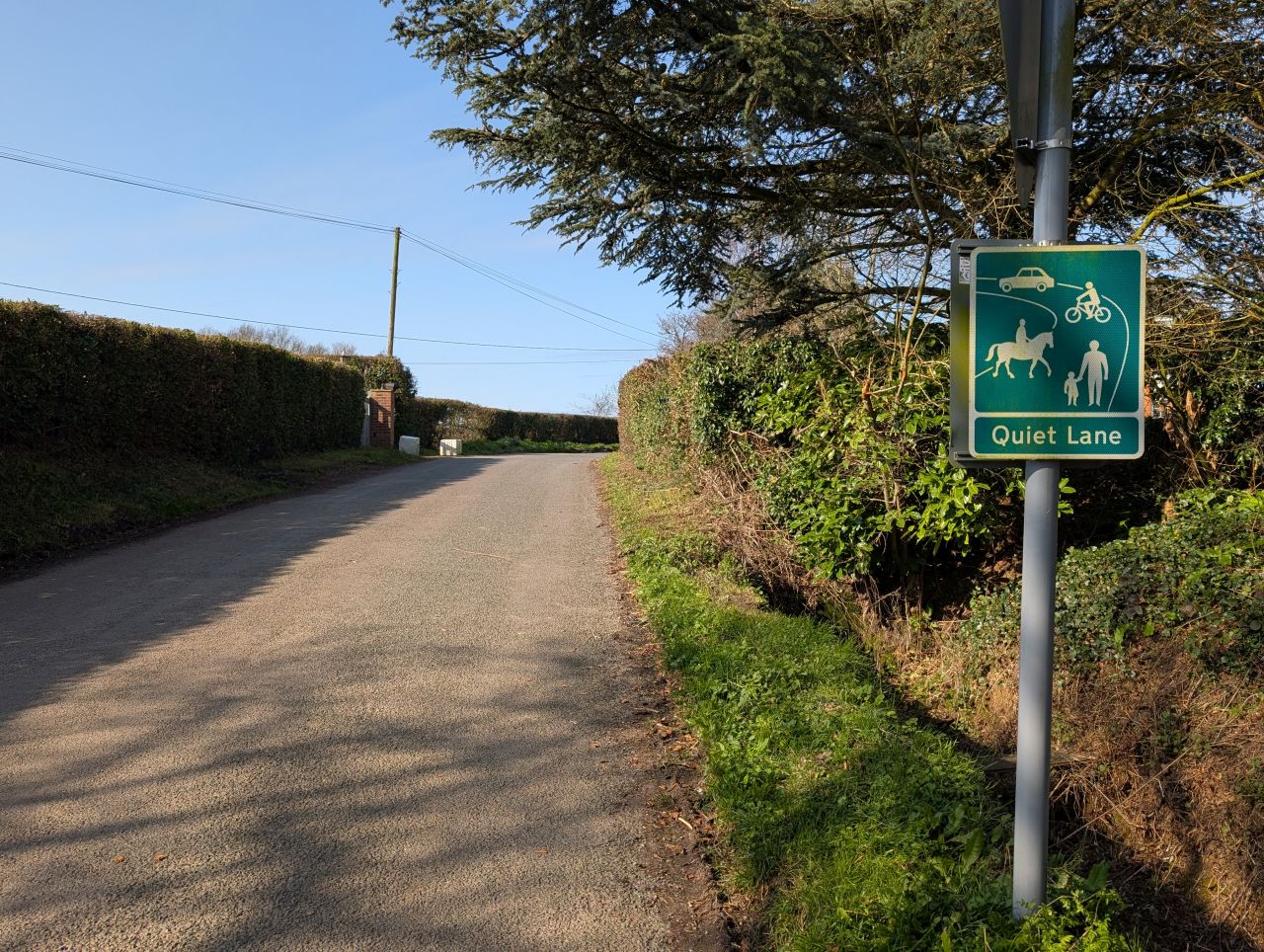 2026-03-15 06 Little Cornard and Assington.jpg