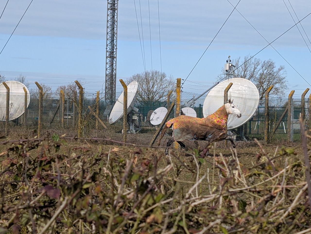 2026-03-15 13 Little Cornard and Assington.jpg