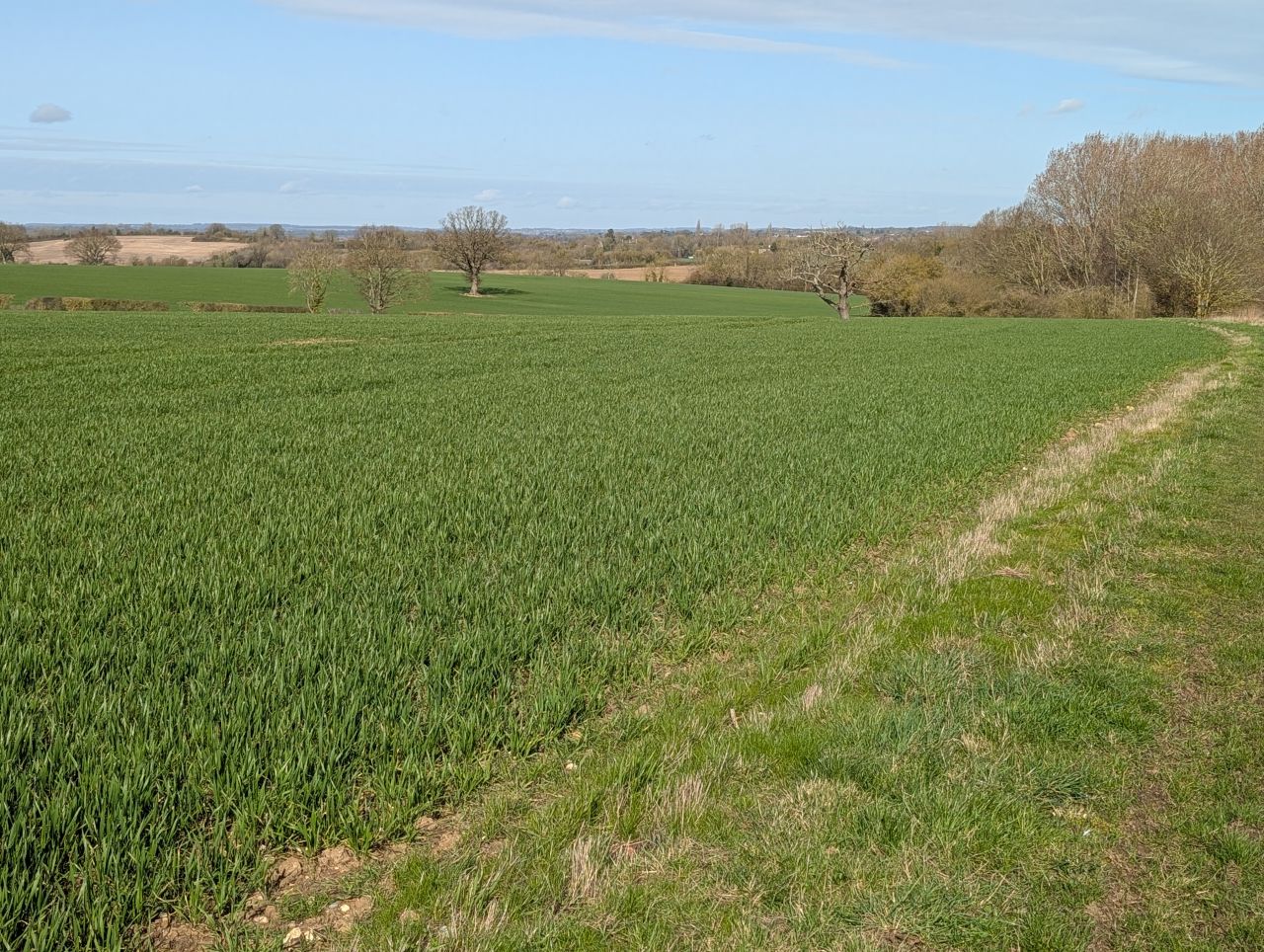 2026-03-15 14 Little Cornard and Assington.jpg