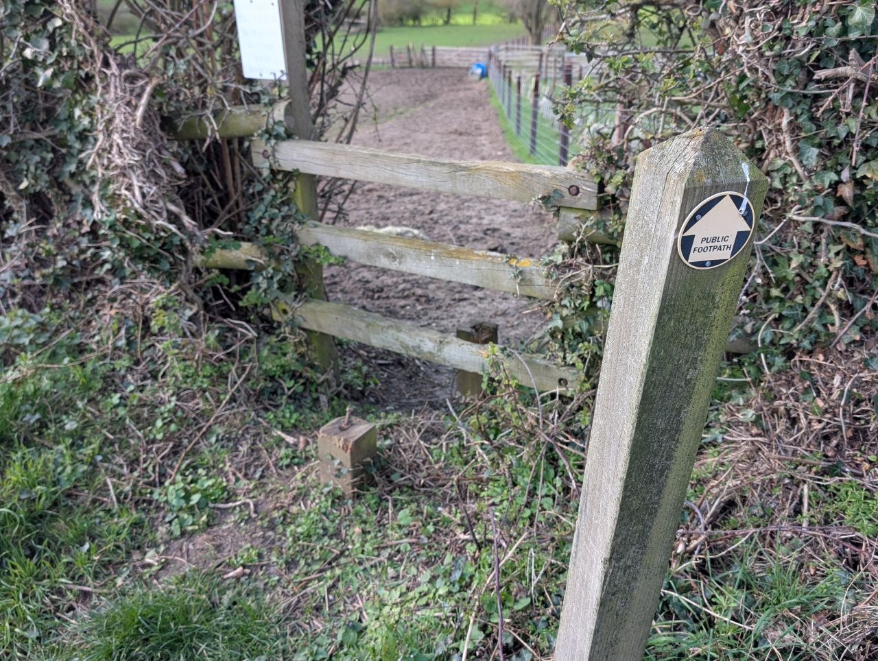 2026-03-15 16 Little Cornard and Assington.jpg