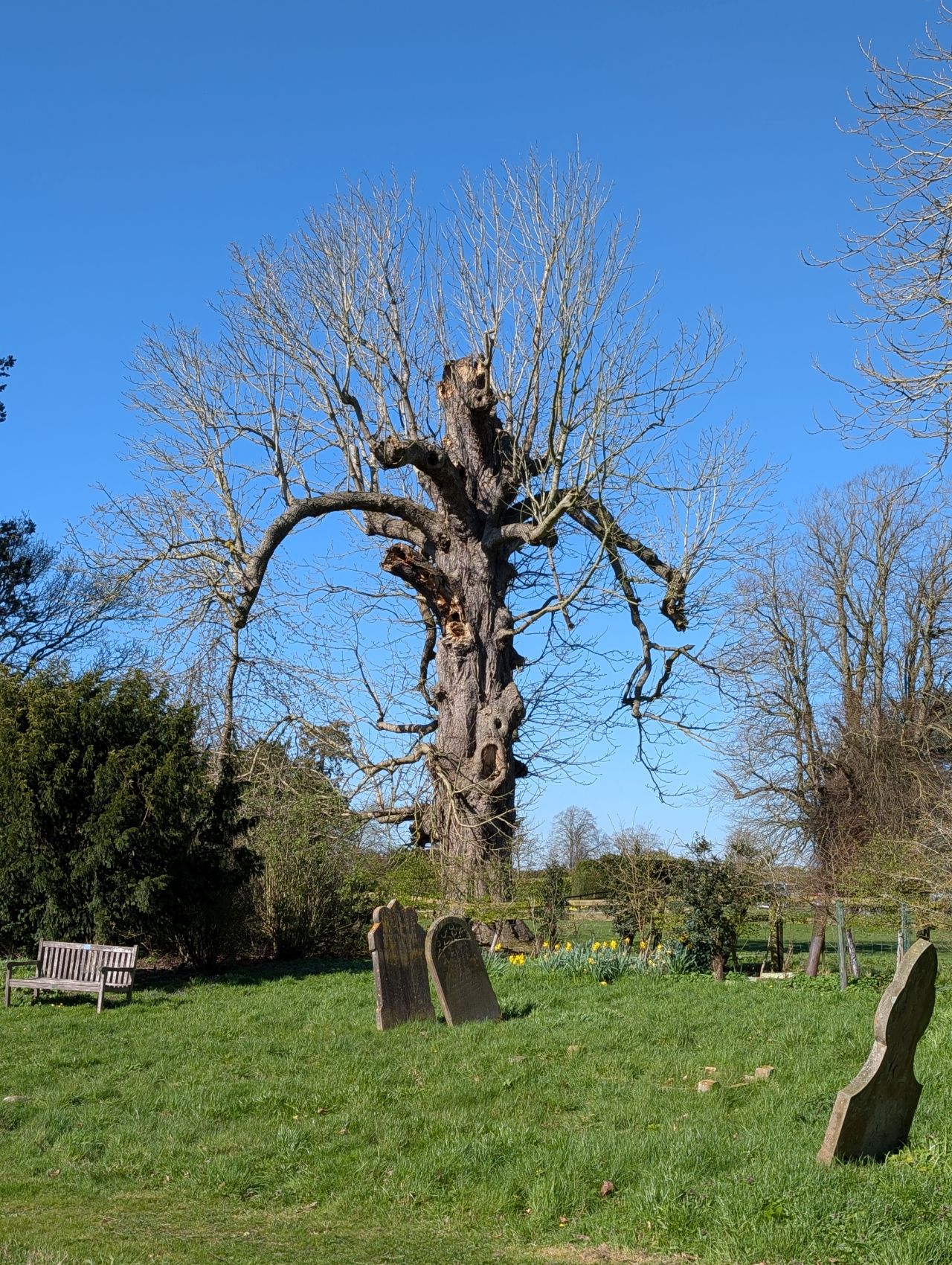 2026-03-18 16 Assington and Boxford.jpg