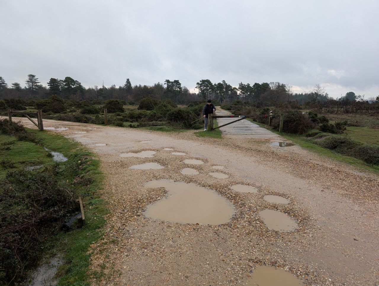 2025-12-21 02 New Forest Janesmoor Pond.jpg