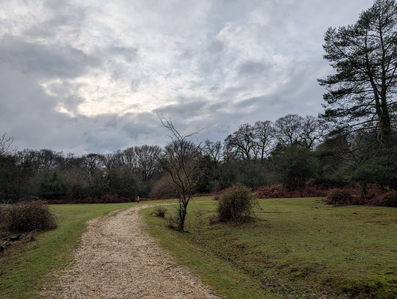 2025-12-21 11 New Forest Janesmoor Pond.jpg