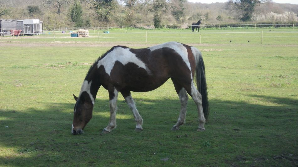 2018-04-18 06 Mutford.jpg