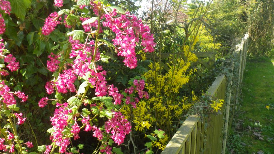 2018-04-18 11 Mutford.jpg