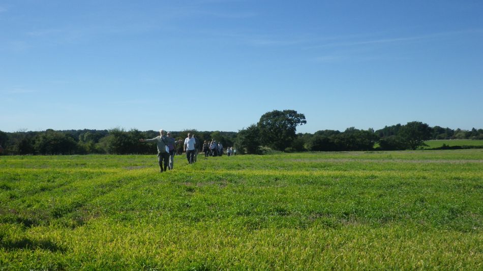 2018-09-26 04 Mutford.jpg