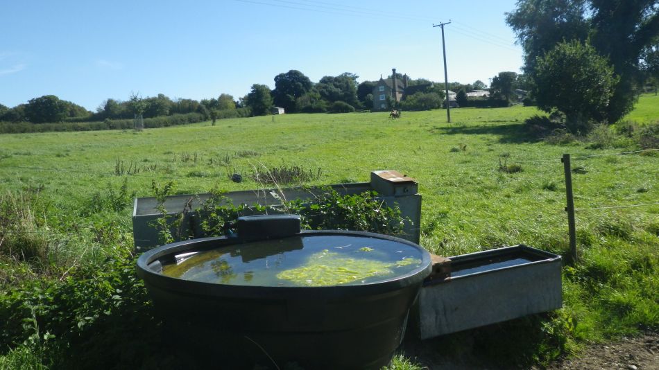 2018-09-26 05 Mutford.jpg