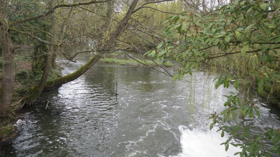 2017-03-22 05 Brockdish and Angles Way.jpg