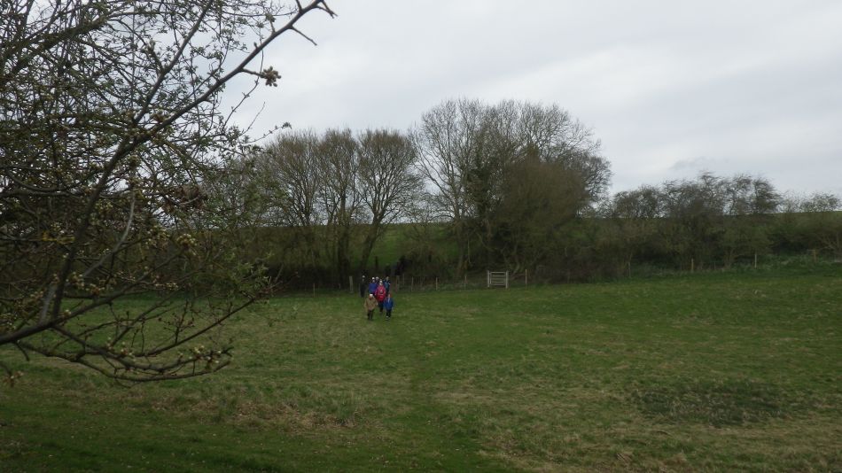 2017-03-22 06 Brockdish and Angles Way.jpg