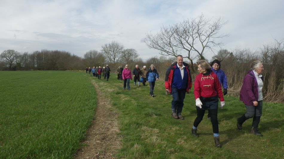 2017-03-22 13 Brockdish and Angles Way.jpg