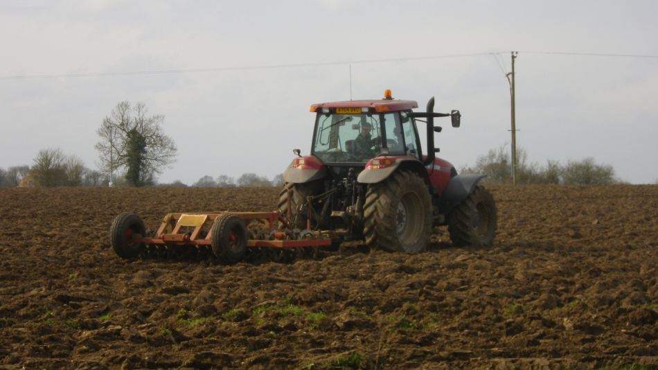 2017-03-22 14 Brockdish and Angles Way.jpg